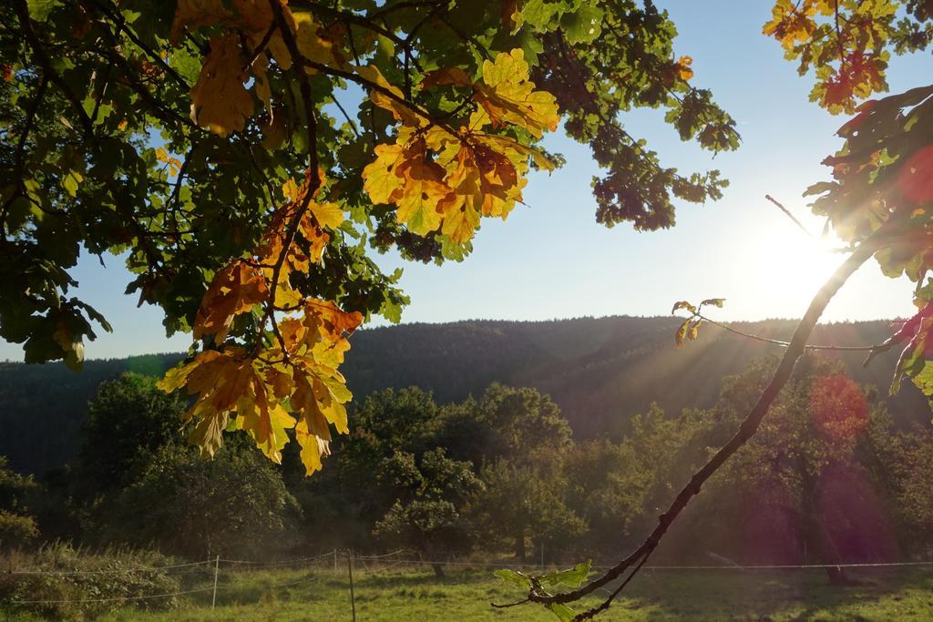Naturhotel Ruegers Forstgut Mespelbrunn Exteriér fotografie